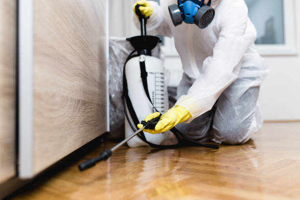 Pest Control for Restaurants in Glouster, OH