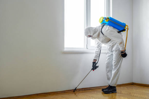 Best Best Pest Control Companies  in Glouster, OH