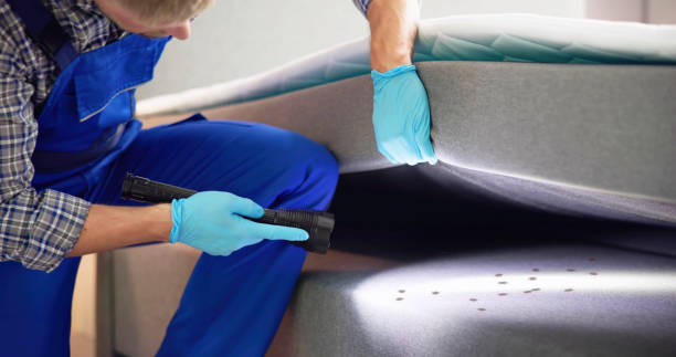 Best Local Pest Control Services  in Glouster, OH