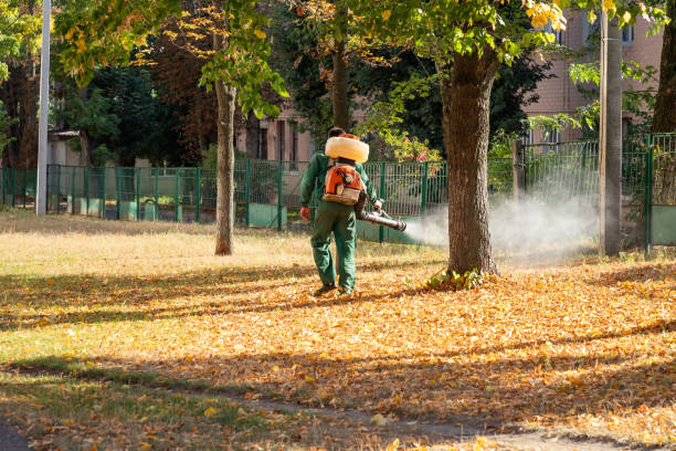 Trusted Glouster, OH Pest Control Experts