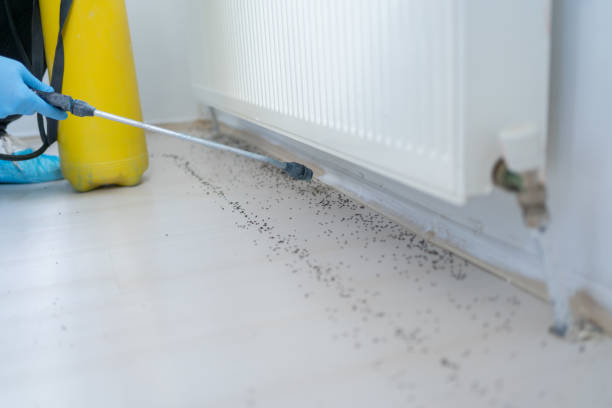 Best Exterminator Services  in Glouster, OH